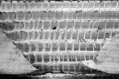 Full frame shot of frozen water