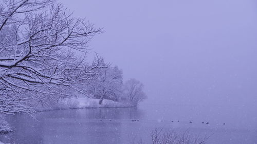 Scenic view of lake against sky during winter