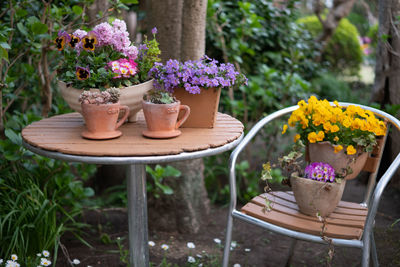 Potted plant on table