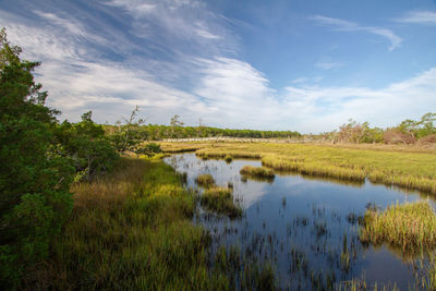 Scenic view of coastal marsh against sky