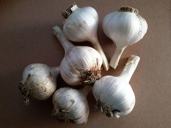 High angle view of garlic on table