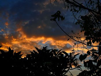 Silhouette trees against sky at night