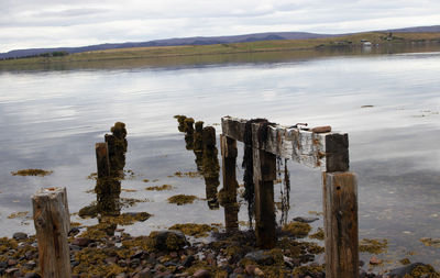 Wooden posts on beach against sky