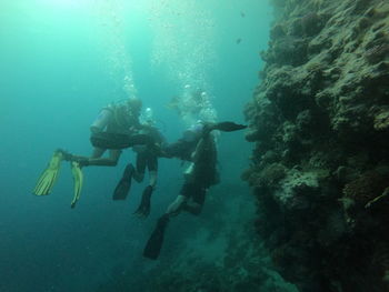 Scuba diving in sea