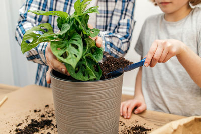 Midsection of woman holding potted plant