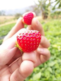 Cropped image of hand holding strawberry