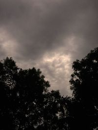 Low angle view of trees against cloudy sky