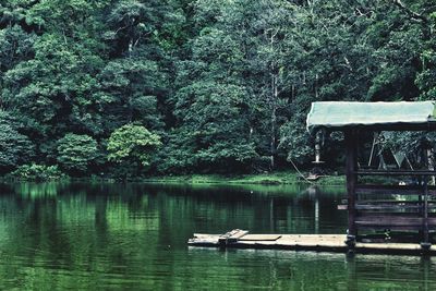 Scenic view of lake in forest