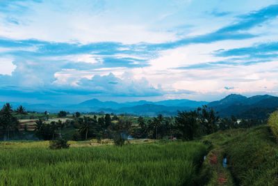 Scenic view of field against sky