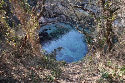 High angle view of rocks in forest