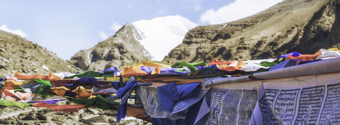 Rear view of woman standing on mountain