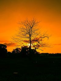 Silhouette bare tree on field against romantic sky at sunset