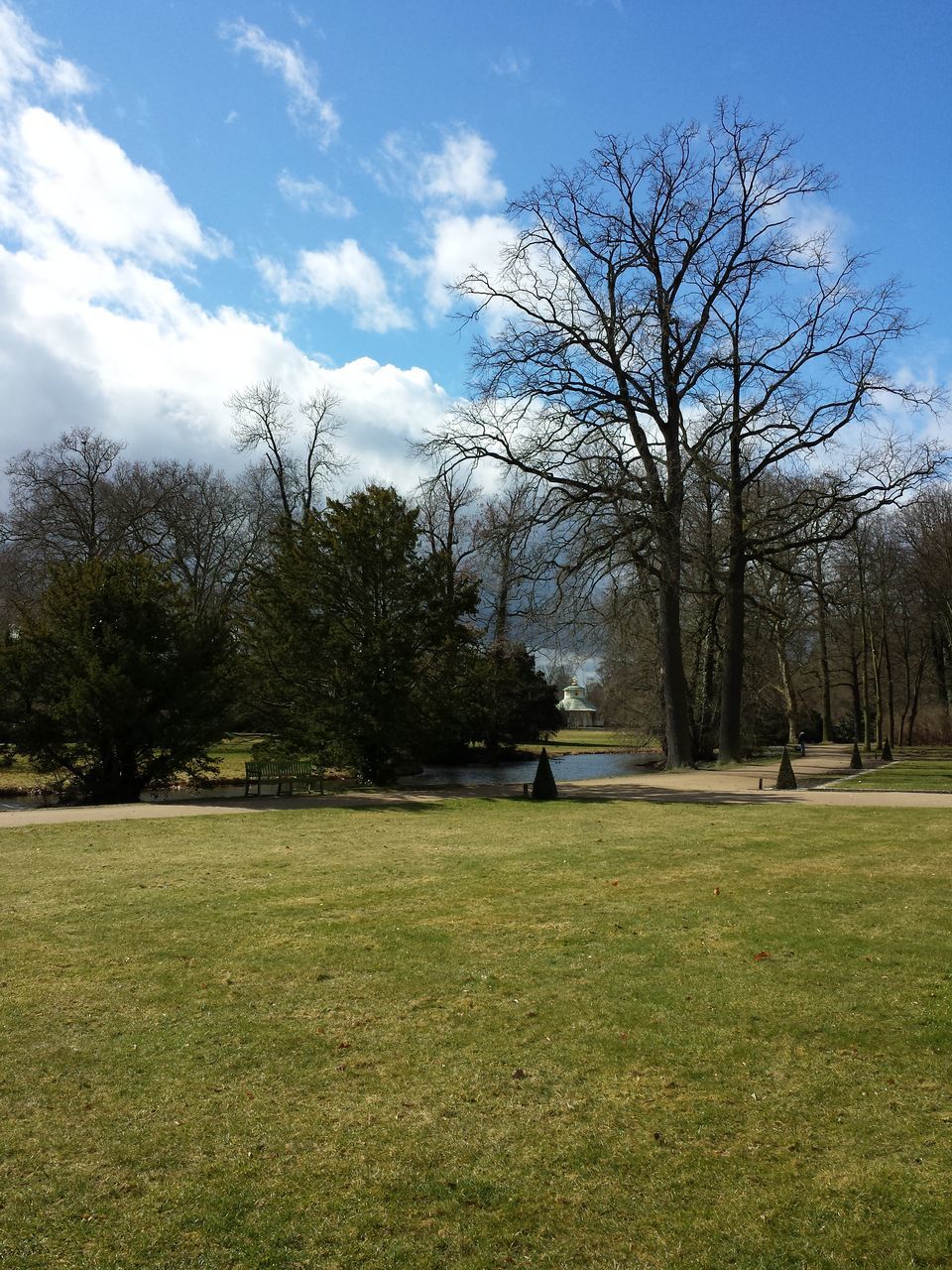 tree, plant, grass, sky, beauty in nature, cloud - sky, nature, tranquil scene, tranquility, scenics - nature, day, green color, landscape, land, environment, field, non-urban scene, bare tree, idyllic, sunlight, outdoors, no people