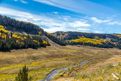 Scenic view of forest against sky