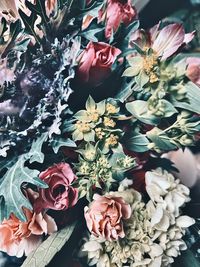 High angle view of flower bouquet on plant