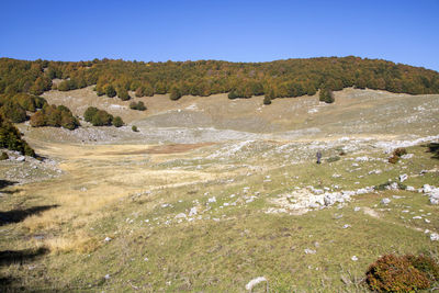 Scenic view of landscape against clear blue sky