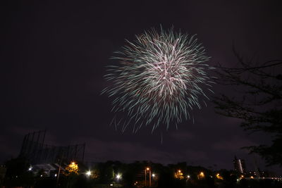 Low angle view of firework display at night