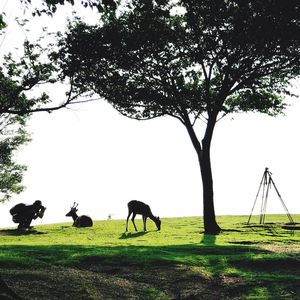 Horses grazing on field against sky