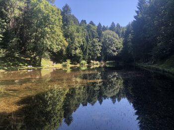 Scenic view of lake in forest against sky