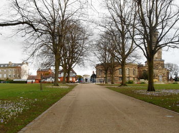 Street amidst trees and buildings against sky