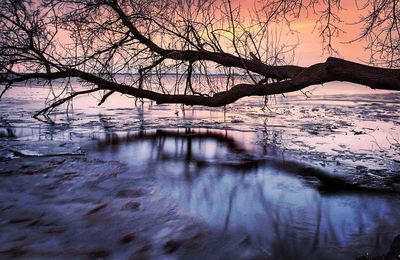 Bare tree by river against sky at sunset