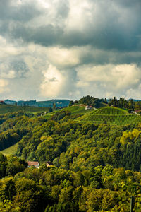 Scenic view of trees on field against sky