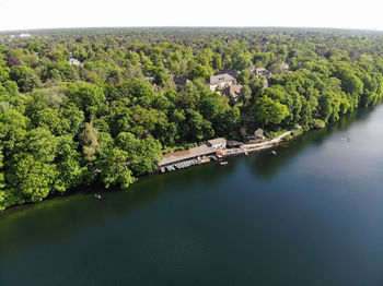 High angle view of river amidst trees