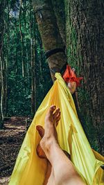 Low section of man in hammock