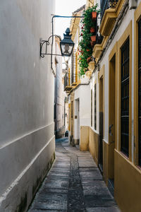 Alley amidst buildings in city