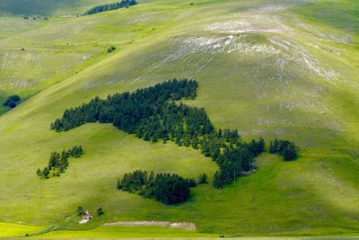 High angle view of green landscape