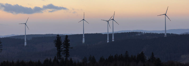 environmental conservation