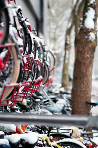 Close-up of bicycles
