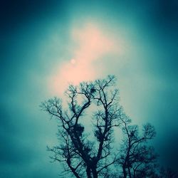 Low angle view of bare trees against blue sky