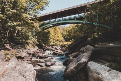 Bridge over river amidst trees