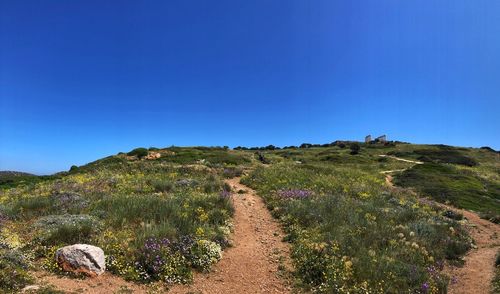 Scenic view of landscape against clear blue sky
