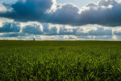 Scenic view of agricultural field against sky