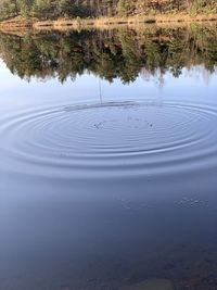 Scenic view of lake