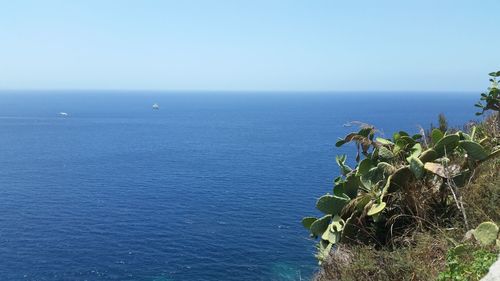 Scenic view of sea against clear sky