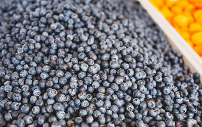 Full frame shot of blueberries for sale 