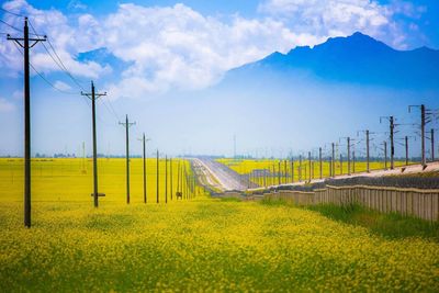 Scenic view of field against sky