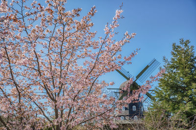 Low angle view of traditional windmill against sky