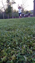 Plants growing in field