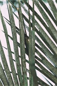 Full frame shot of fence