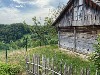Plants growing on field by trees against sky