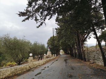 Empty road along plants and trees against sky