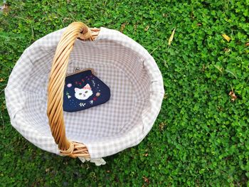 Directly above shot of person on table in field