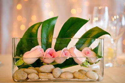 Close-up of vegetables on table