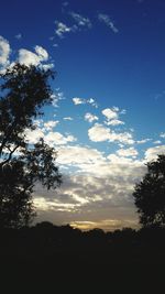 Silhouette of trees against cloudy sky