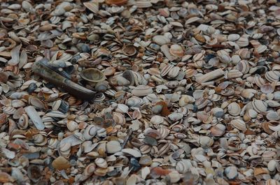 Full frame shot of pebbles