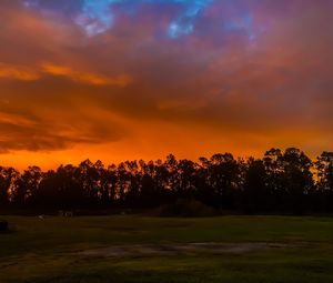 Silhouette trees on field against sky during sunset